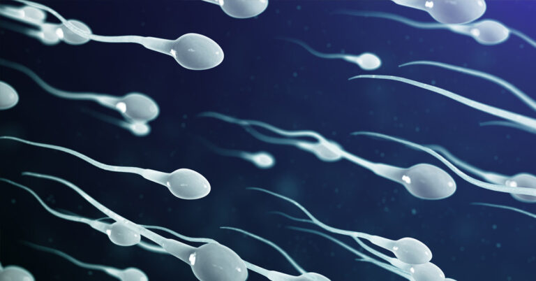 Sperm Count And Motility